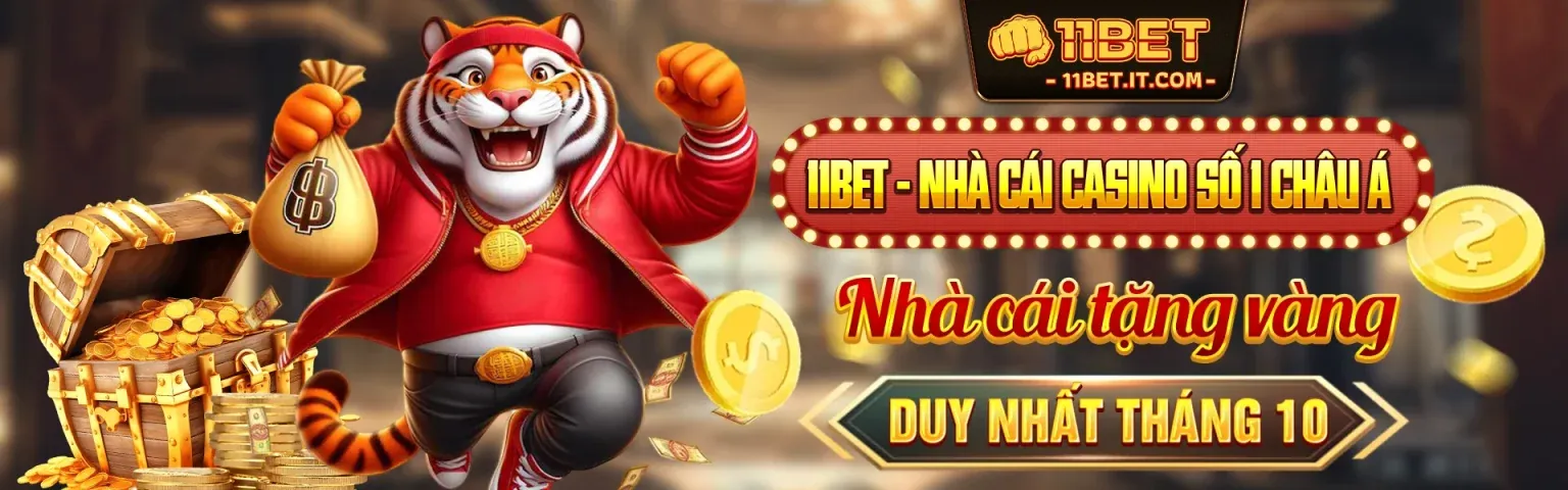 Tổng quan nền tảng ycs65